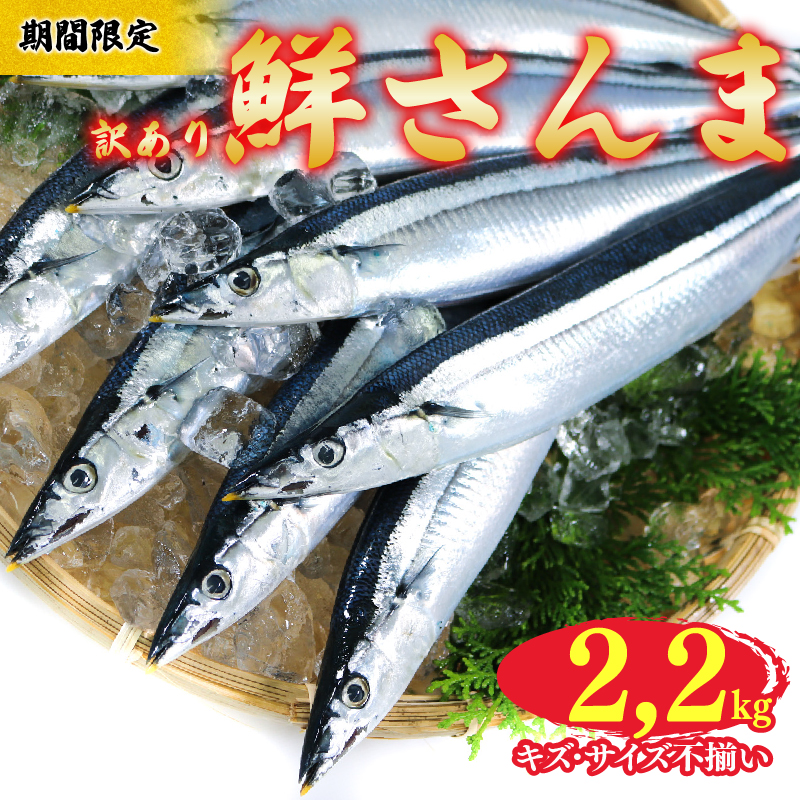 【期間限定】 訳あり 鮮さんま 約2.2kg 冷蔵 サンマ 秋刀魚 さんま 旬 海鮮 魚貝類 魚介類 産地直送 期間限定 季節限定 予約 旬の鮮魚 旬 秋の味覚 新鮮さんま 鮮魚 魚 焼き魚 三陸さんま